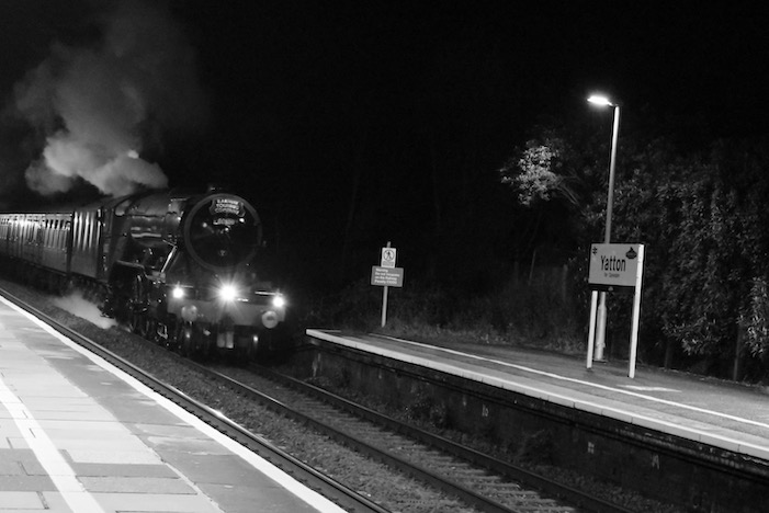 steam 8
